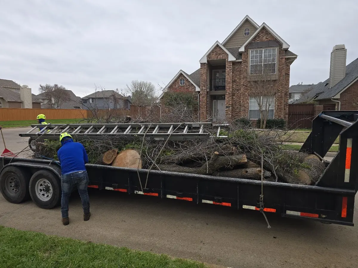 Expert Lot Clearing with proper safety equipment in Concordia